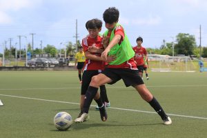 U17B - Wings Red Black