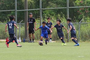 FA25 U11 - Wolverines Amanecer